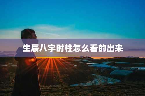 生辰八字时柱怎么看的出来