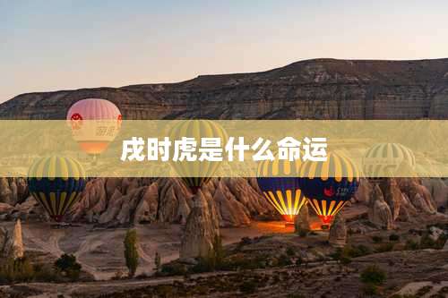 戌时虎是什么命运