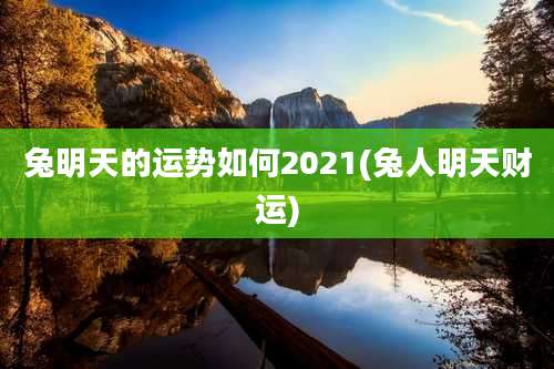 兔明天的运势如何2021(兔人明天财运)