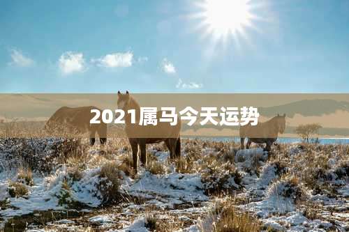 2021属马今天运势