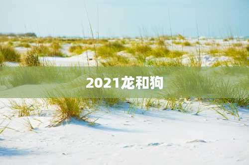 2021龙和狗