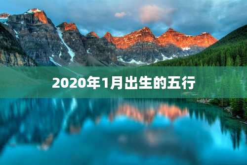 2020年1月出生的五行