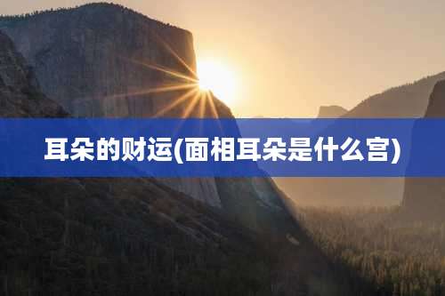 耳朵的财运(面相耳朵是什么宫)