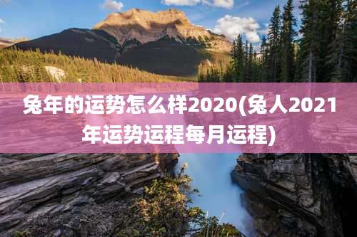 兔年的运势怎么样2020(兔人2021年运势运程每月运程)