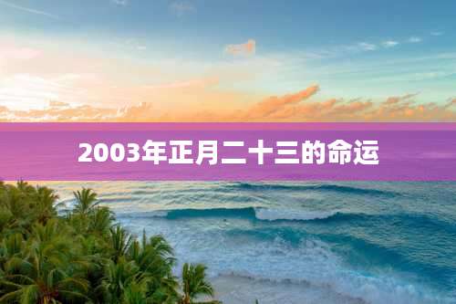 2003年正月二十三的命运
