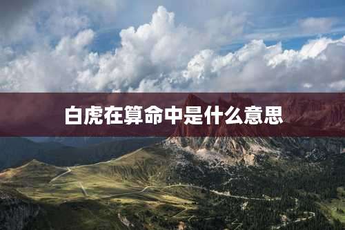 白虎在算命中是什么意思