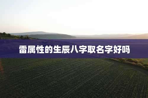 雷属性的生辰八字取名字好吗