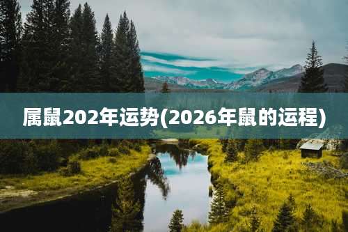 属鼠202年运势(2026年鼠的运程)