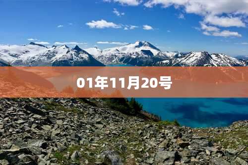 01年11月20号