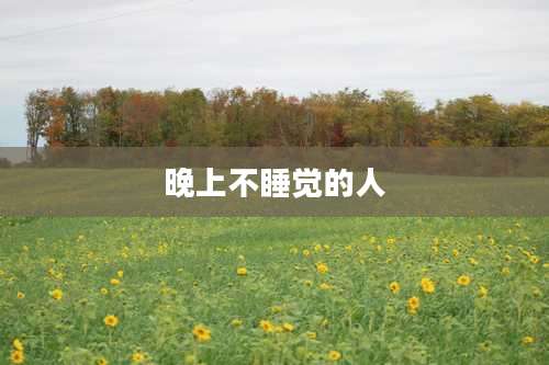 晚上不睡觉的人