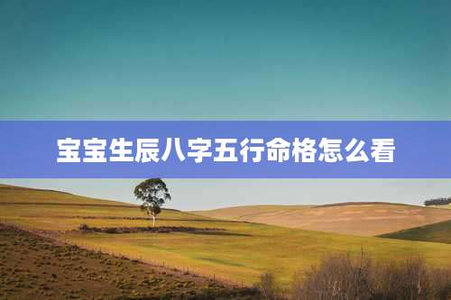 宝宝生辰八字五行命格怎么看