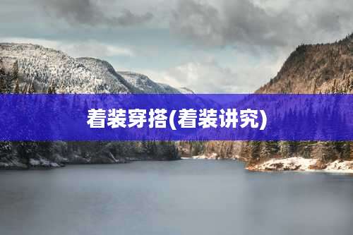 着装穿搭(着装讲究)