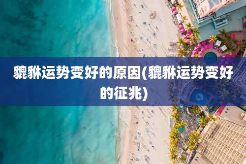 貔貅运势变好的原因(貔貅运势变好的征兆)