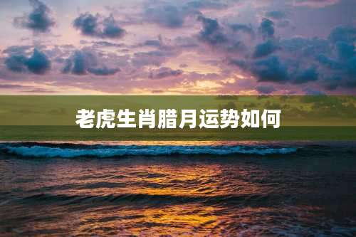 老虎生肖腊月运势如何