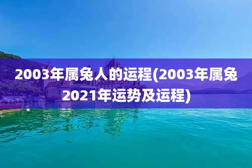 2003年属兔人的运程(2003年属兔2021年运势及运程)