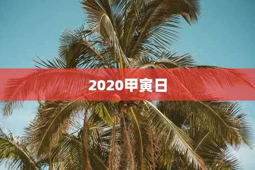 2020甲寅日