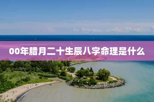 00年腊月二十生辰八字命理是什么