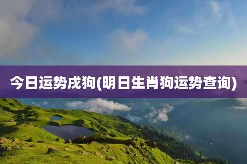 今日运势戌狗(明日生肖狗运势查询)