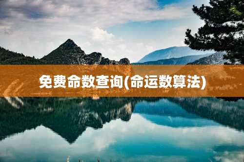 免费命数查询(命运数算法)