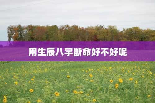 用生辰八字断命好不好呢