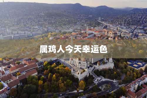 属鸡人今天幸运色