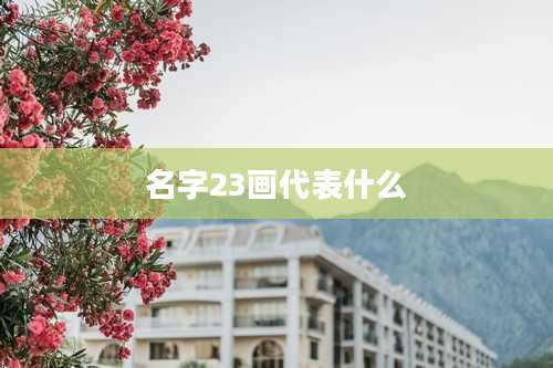 名字23画代表什么
