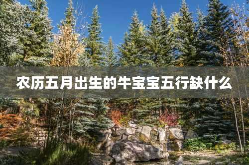 农历五月出生的牛宝宝五行缺什么