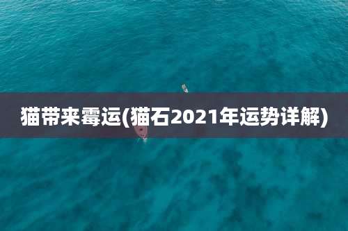 猫带来霉运(猫石2021年运势详解)