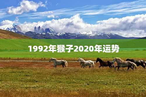 1992年猴子2020年运势
