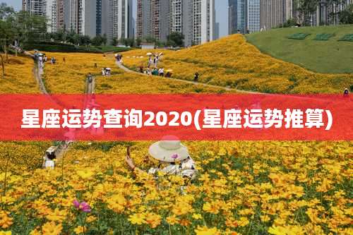 星座运势查询2020(星座运势推算)