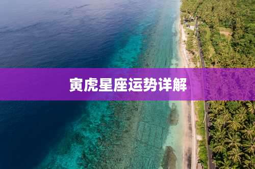 寅虎星座运势详解