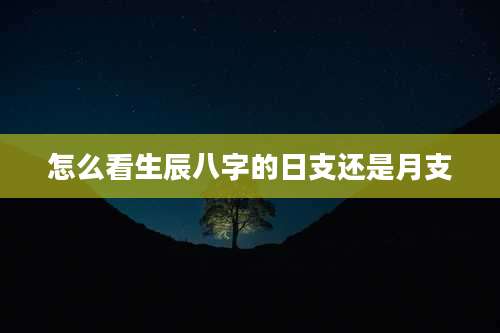 怎么看生辰八字的日支还是月支