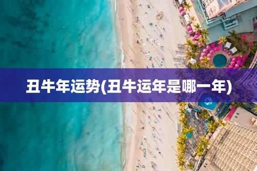 丑牛年运势(丑牛运年是哪一年)