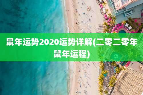 鼠年运势2020运势详解(二零二零年鼠年运程)