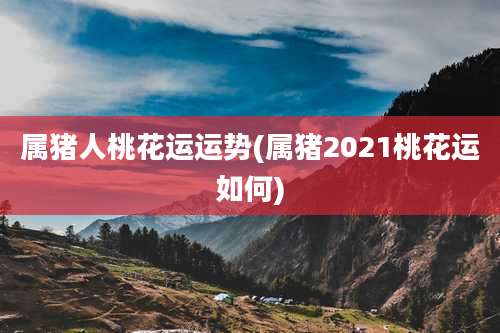 属猪人桃花运运势(属猪2021桃花运如何)