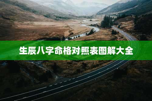 生辰八字命格对照表图解大全