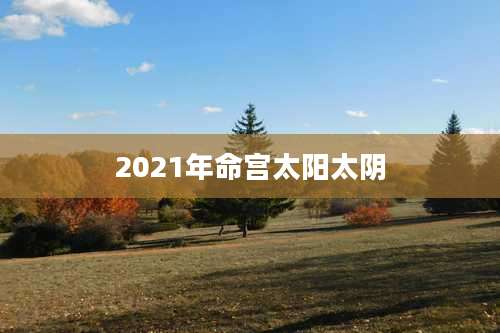 2021年命宫太阳太阴