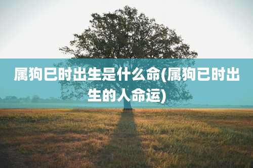 属狗巳时出生是什么命(属狗已时出生的人命运)