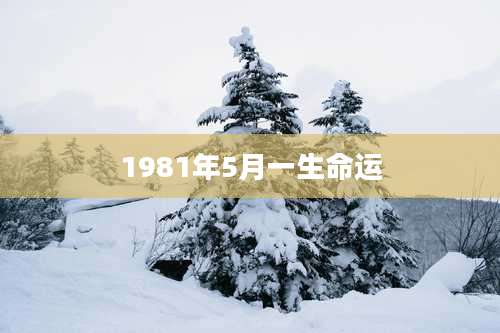 1981年5月一生命运