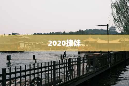 2020撩妹