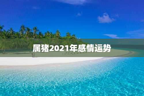 属猪2021年感情运势