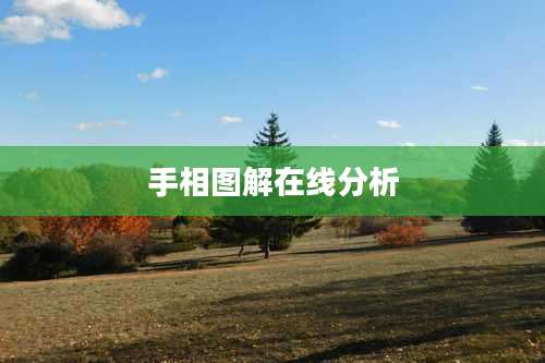 手相图解在线分析