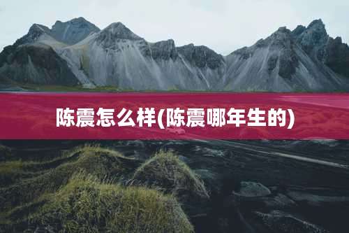 陈震怎么样(陈震哪年生的)