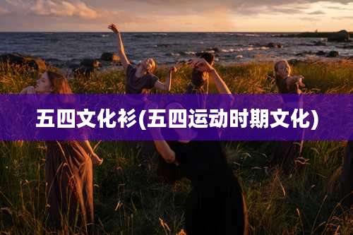 五四文化衫(五四运动时期文化)