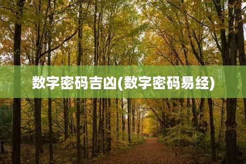 数字密码吉凶(数字密码易经)