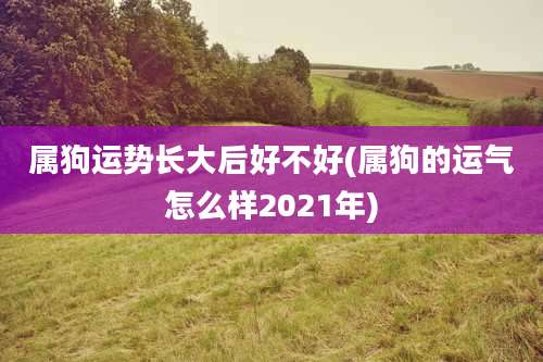 属狗运势长大后好不好(属狗的运气怎么样2021年)