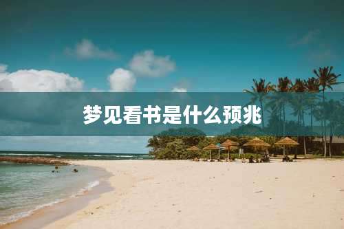 梦见看书是什么预兆