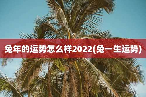 兔年的运势怎么样2022(兔一生运势)