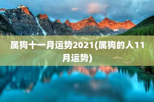 属狗十一月运势2021(属狗的人11月运势)