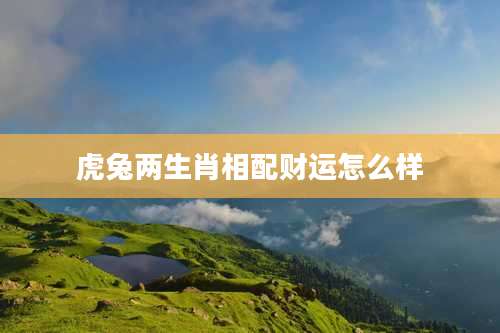 虎兔两生肖相配财运怎么样